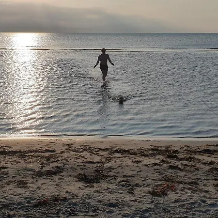 12 Person In Læsø
